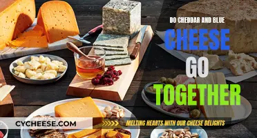 Cheddar and Blue Cheese: A Match Made in Heaven?