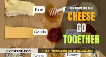 Cheddar and Goat Cheese: A Tasty Duo or a Culinary Clash?