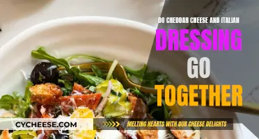 Cheese and Dressing Harmony: Cheddar's Italian Dressing Match