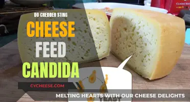 Cheese and Candida: Unraveling the Cheddar Conundrum