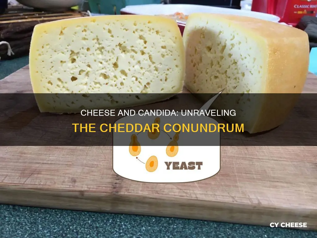 do chedder sting cheese feed candida