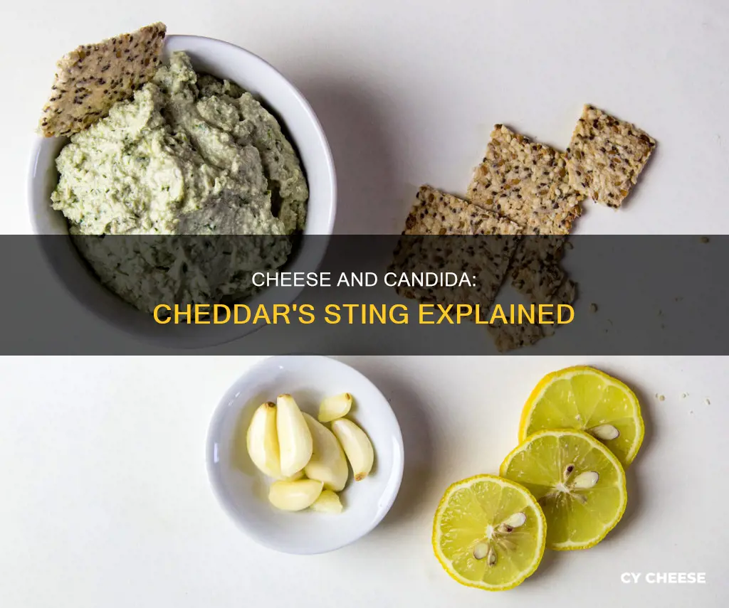 do chedder sting cheese feed candida