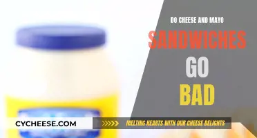 Cheese and Mayo Sandwiches: How Long Do They Last?