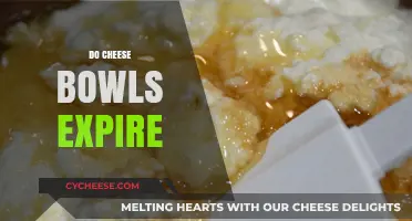 Do Cheese Bowls Expire? Shelf Life and Storage Tips Revealed