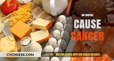 Does Cheese Increase Cancer Risk? Separating Fact from Fiction