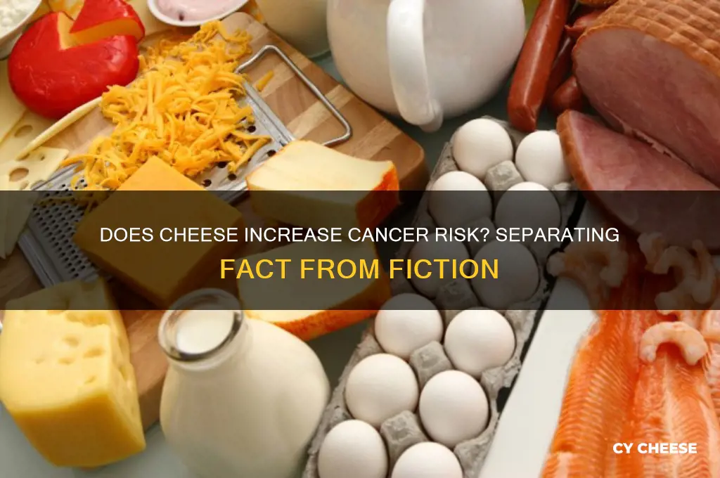 do cheese cause cancer