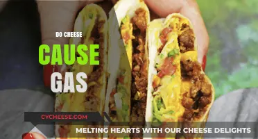 Does Cheese Cause Gas? Understanding Dairy's Impact on Digestion