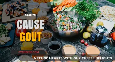 Does Cheese Trigger Gout? Unraveling the Dairy and Uric Acid Connection