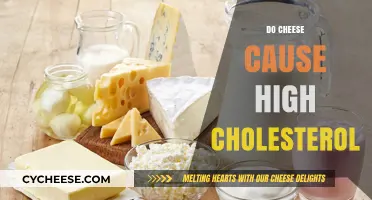 Does Cheese Raise Cholesterol Levels? Uncovering the Truth About Dairy