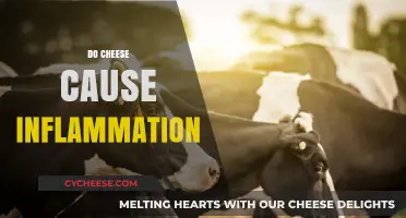 Does Cheese Trigger Inflammation? Uncovering the Truth Behind Dairy's Role