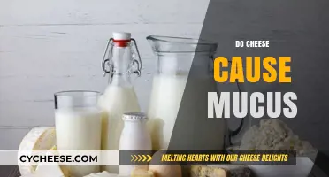 Does Cheese Cause Mucus? Unraveling the Dairy-Congestion Connection