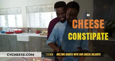 Does Cheese Cause Constipation? Unraveling the Dairy and Digestion Myth