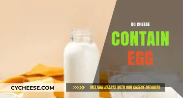 Does Cheese Contain Eggs? Unraveling the Ingredients in Your Favorite Dairy