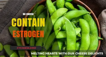 Does Cheese Contain Estrogen? Unraveling the Hormone Myth in Dairy