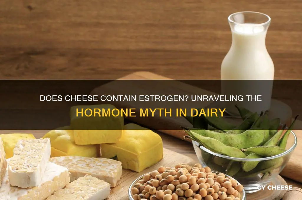 do cheese contain estrogen