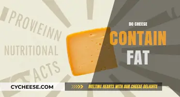 Does Cheese Contain Fat? Uncovering the Truth About Cheese Nutrition