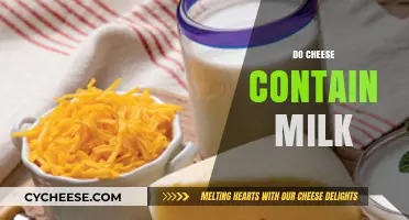 Does Cheese Contain Milk? Unraveling the Dairy Connection in Cheese