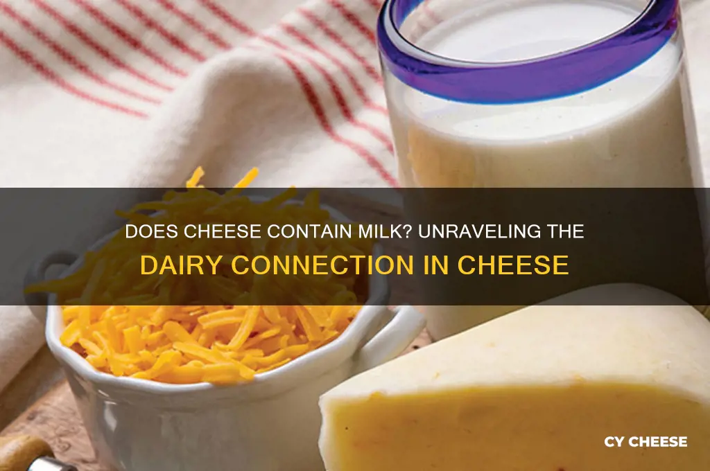 do cheese contain milk