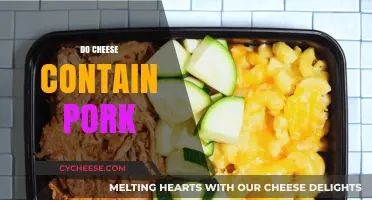 Is Pork in Cheese? Unraveling the Myth and Facts