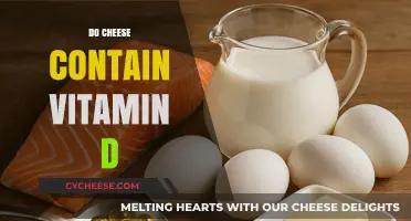 Does Cheese Boost Vitamin D Intake? Uncovering the Nutritional Facts