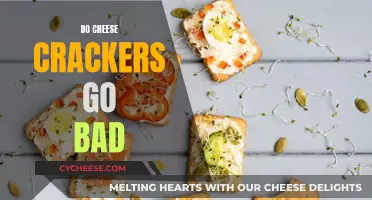 Cheese Crackers: Do They Go Bad?