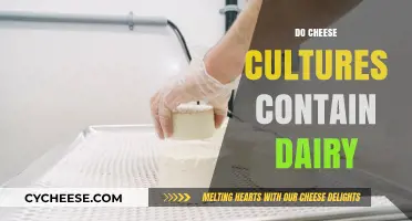 Do Cheese Cultures Contain Dairy? Unraveling the Truth Behind Fermentation