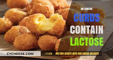 Do Cheese Curds Contain Lactose? Uncovering the Truth for Dairy Lovers