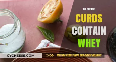 Do Cheese Curds Contain Whey? Uncovering the Truth Behind This Dairy Delight