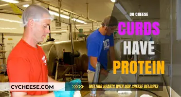Cheese Curds Protein Power: Uncovering Their Nutritional Benefits