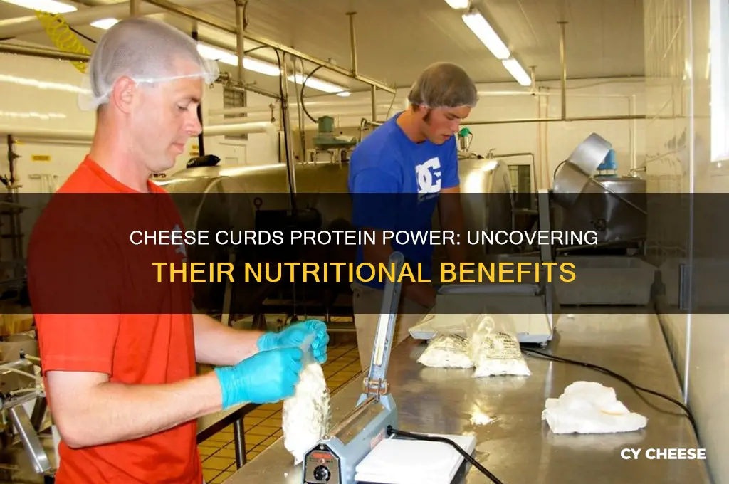 do cheese curds have protein