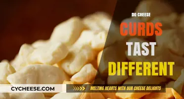 Exploring the Unique Flavor Profiles of Cheese Curds: Do They Taste Different?