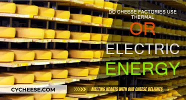 Cheese Factories: Thermal vs Electrical Energy