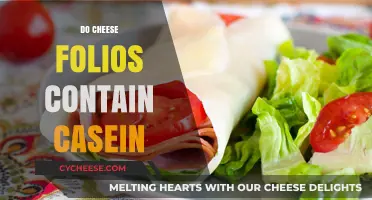 Do Cheese Folios Contain Casein? Uncovering the Truth About Ingredients