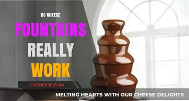 Do Cheese Fountains Really Work? A Melty Myth Debunked