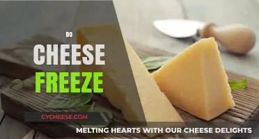 Can You Freeze Cheese? A Guide to Proper Storage and Preservation