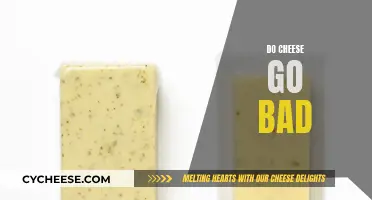 Cheese Storage: How Long Does Cheese Last?