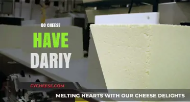 Does Cheese Contain Dairy? Unraveling the Truth Behind This Cheesy Question