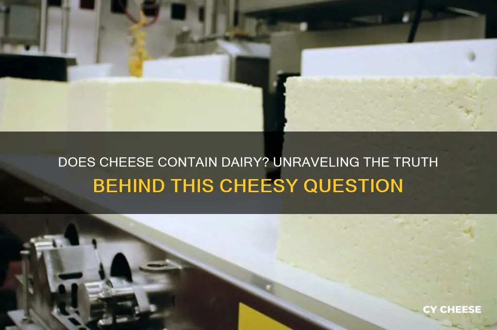 do cheese have dariy
