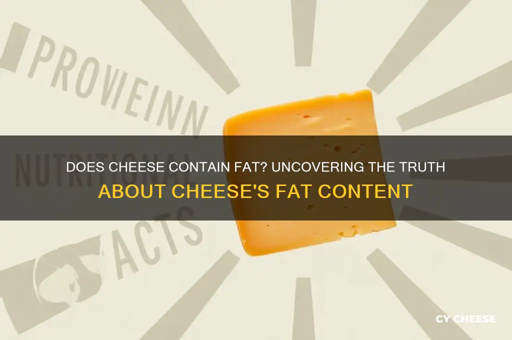 do cheese have fat