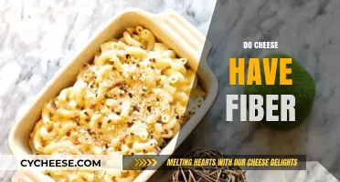 Does Cheese Contain Fiber? Unraveling the Nutritional Facts