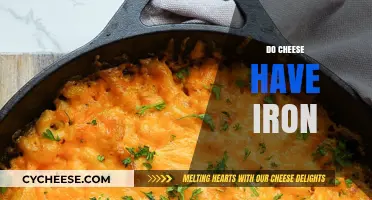 Does Cheese Contain Iron? Uncovering Nutritional Facts and Benefits