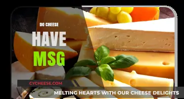 Does Cheese Contain MSG? Uncovering the Truth About Hidden Additives