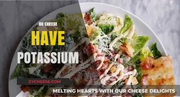 Does Cheese Contain Potassium? Uncovering the Nutritional Facts