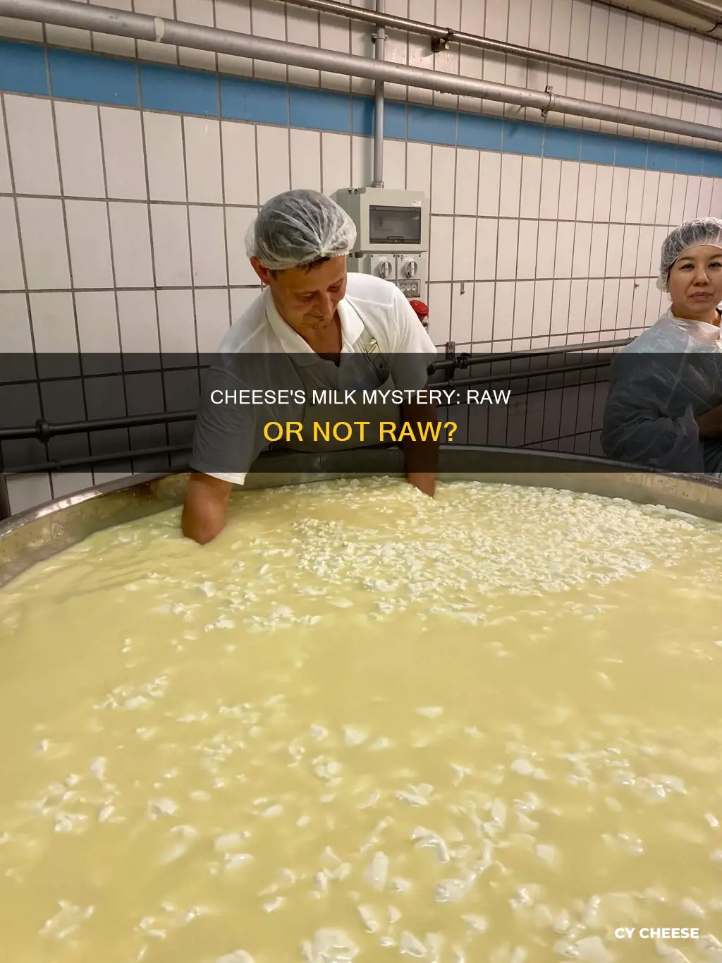 do cheese have to be made from raw milk