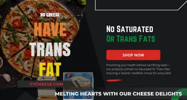 Does Cheese Contain Trans Fat? Uncovering the Truth About Your Favorite Dairy
