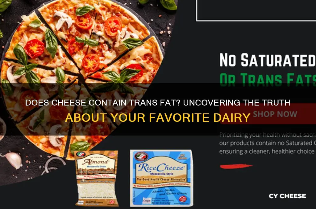 do cheese have trans fat