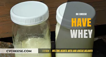 Does Cheese Contain Whey? Uncovering the Truth Behind Dairy's Secret