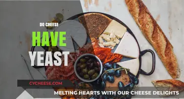 Does Cheese Contain Yeast? Unraveling the Dairy and Fermentation Connection