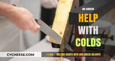 Can Cheese Fight Colds? Uncovering the Surprising Connection