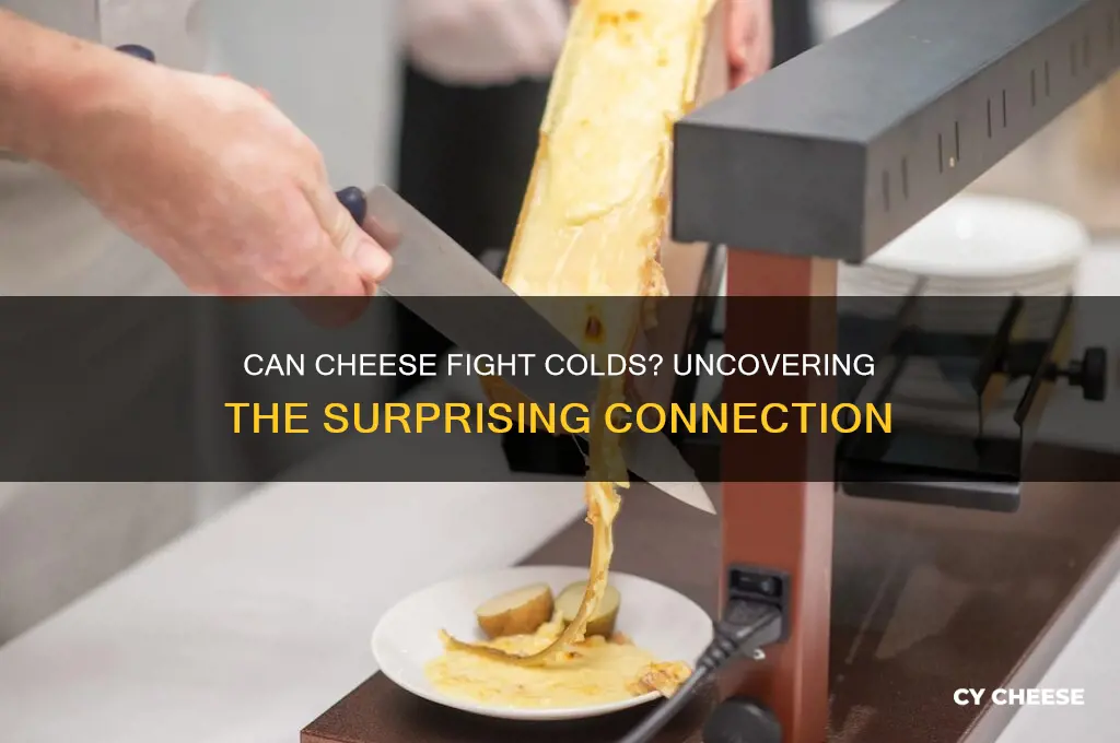 do cheese help with colds